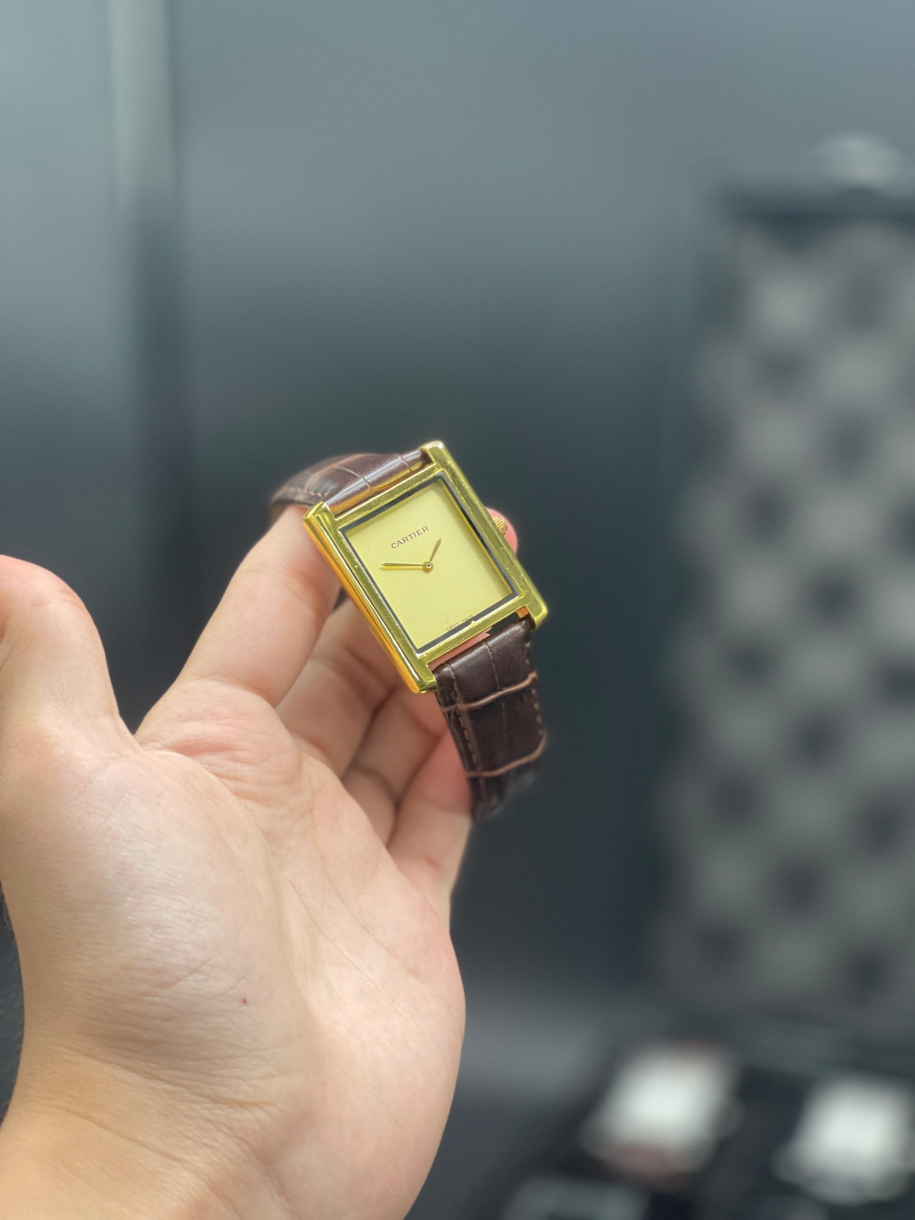 CTR Brown Leather Strap With Radiant Golden Dial Watch