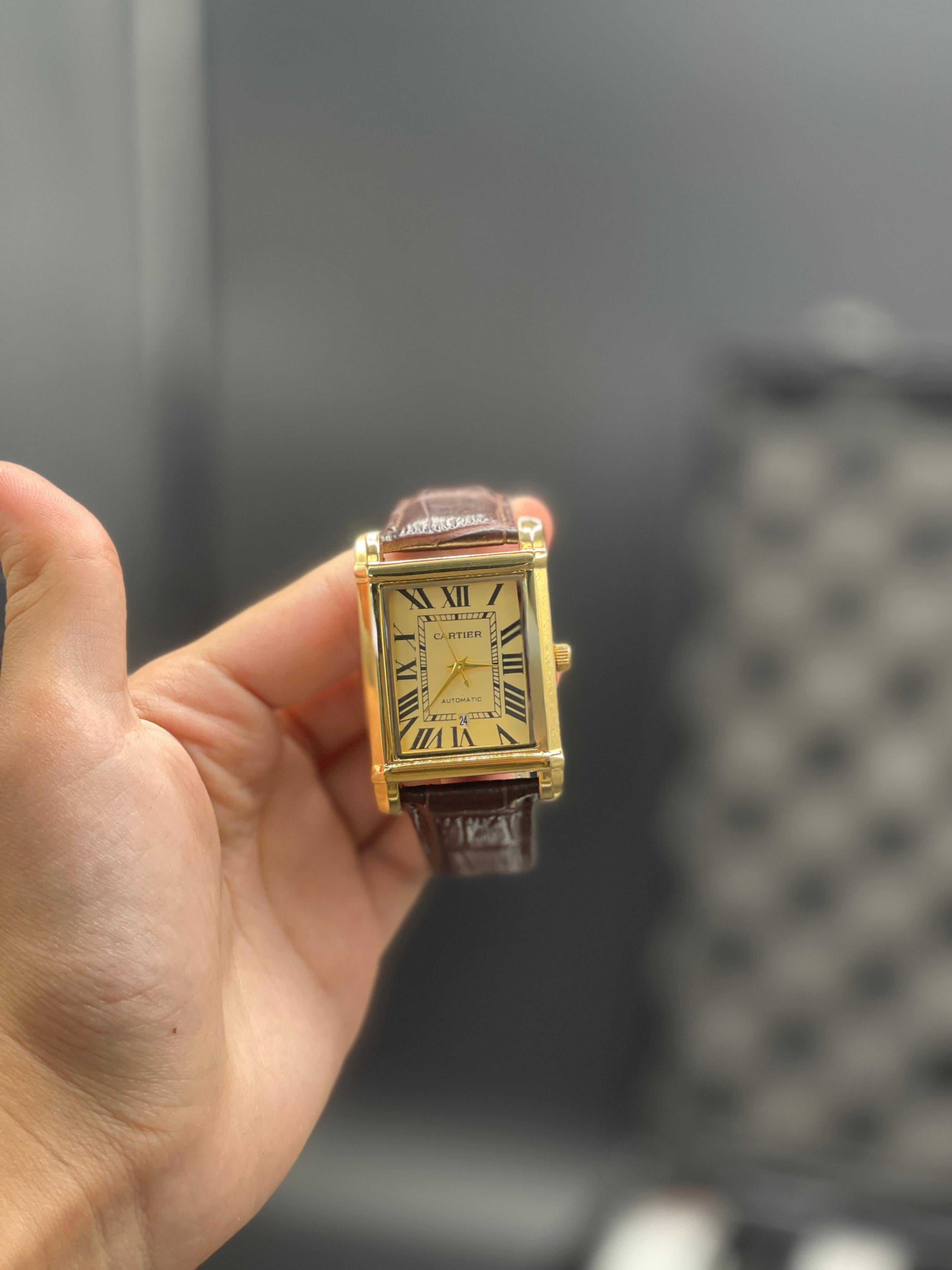 CTR Brown Leather Strap With Detailed Radiant Golden Dial Watch