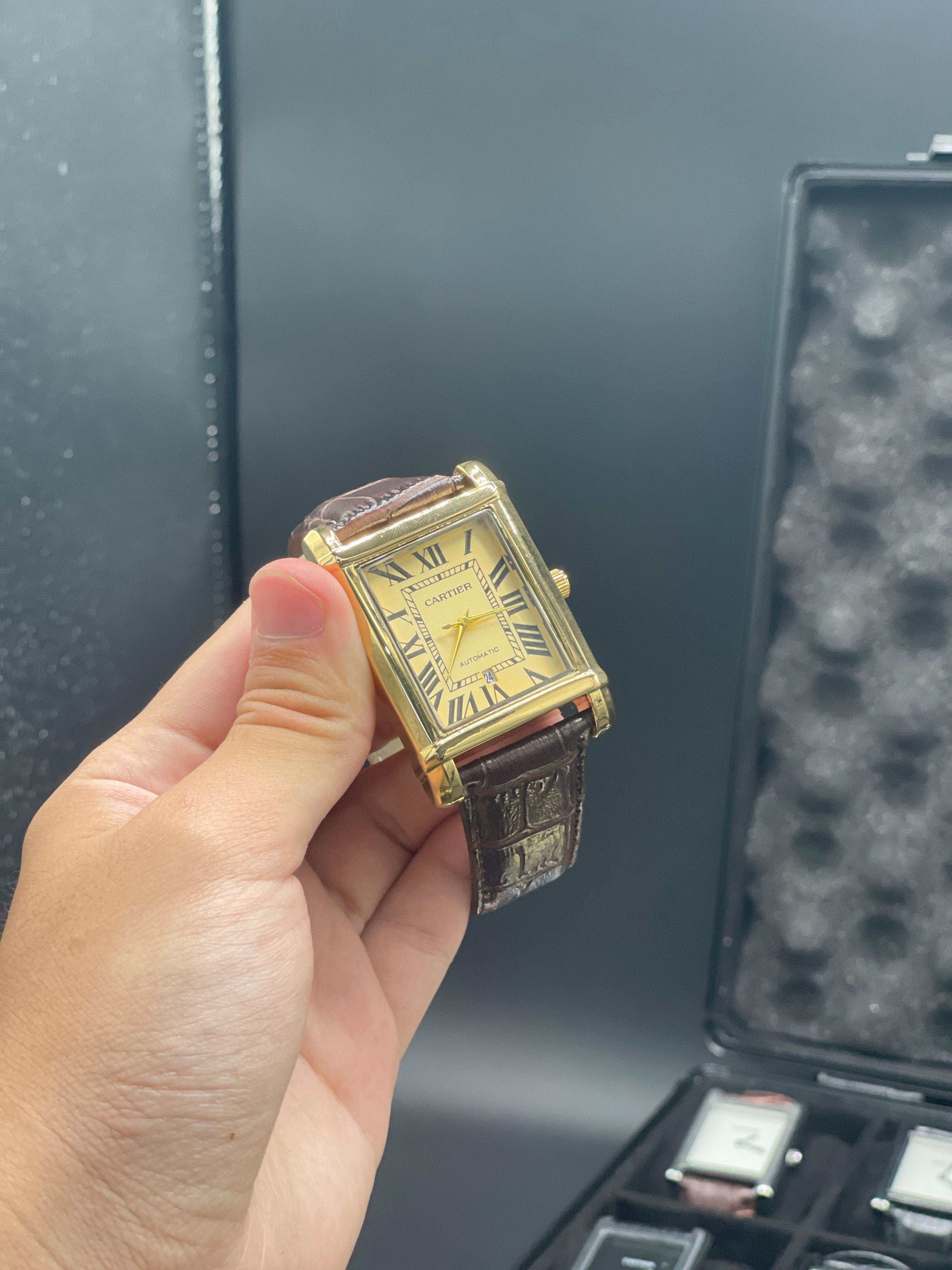 CTR Brown Leather Strap With Detailed Radiant Golden Dial Watch