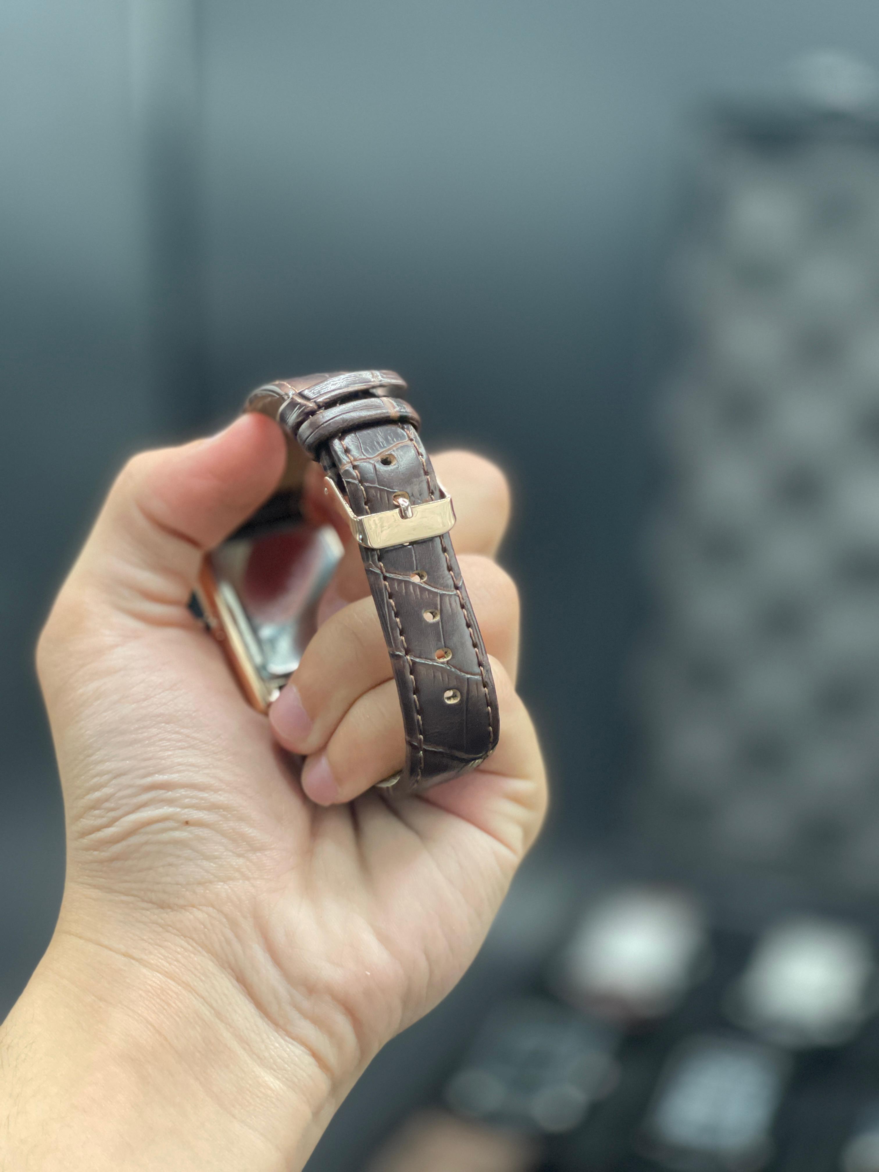 CTR Brown Leather Strap With Rich Detailed Brown Dial Watch