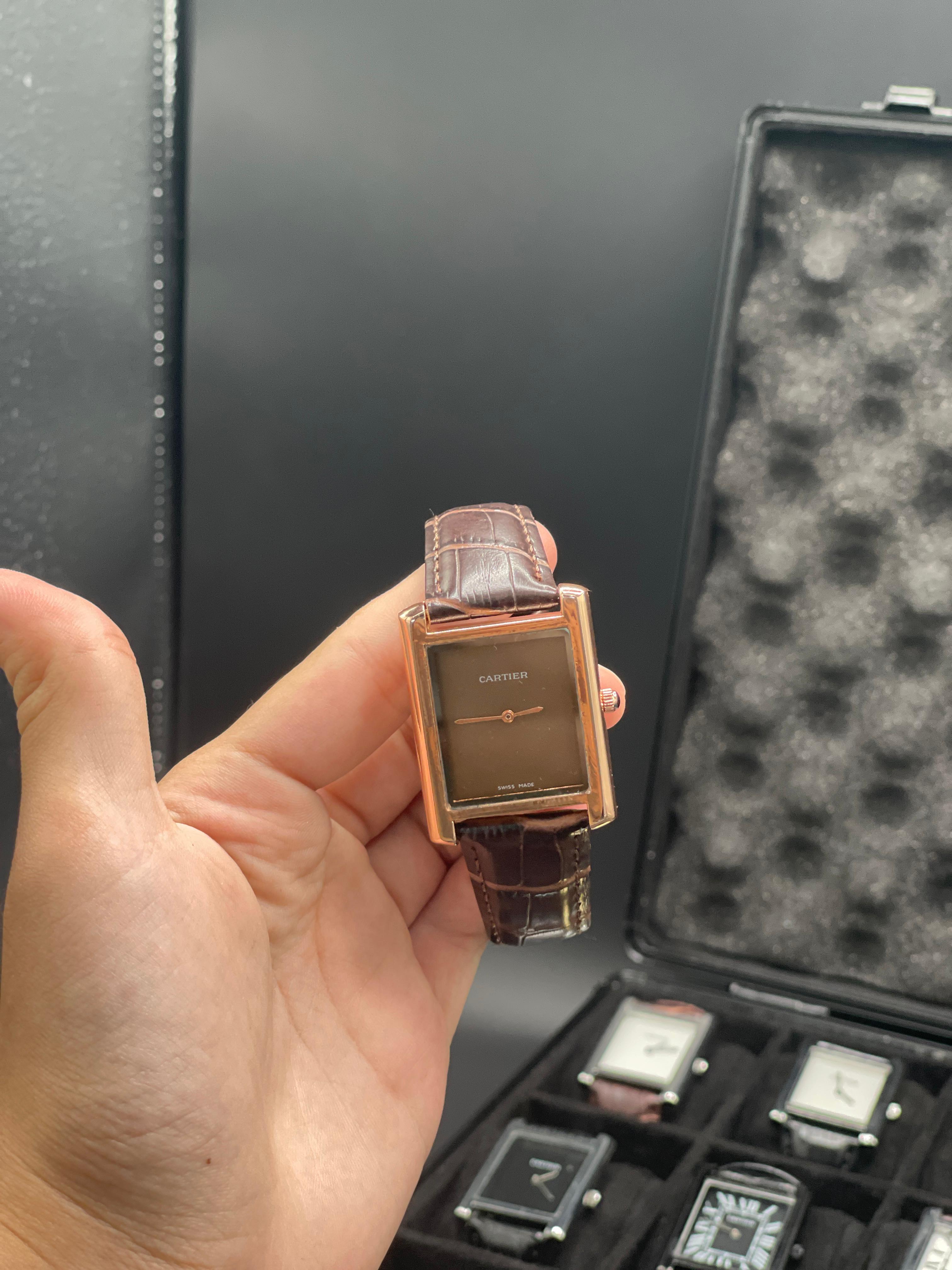 CTR Brown Leather Strap With Clean Brown Dial Watch